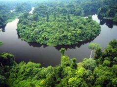 Parceria internacional