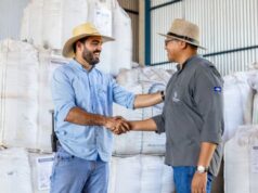 Núcleos da Aprosoja MT aproximam produtores e fortalecem representatividade no Estado