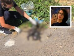 MPE pede audiência para avaliar prisão de mulher acusada de matar gatos em Cuiabá