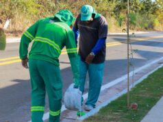 Serviços Públicos executa série de ações de zeladoria por bairros da cidade