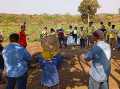 Alunos vivenciam a agricultura familiar em assentamento de Várzea Grande