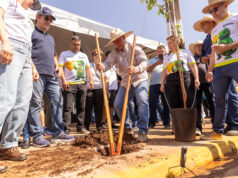 Prefeitura de Rondonópolis | Prefeito lidera plantio de mudas na avenida Bandeirantes