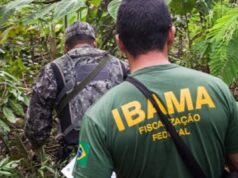 Concurso do Ibama: autorizada a nomeação de 460 aprovados