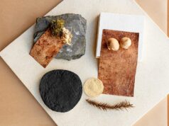 Esta biotech paranaense está transformando a sustentabilidade da indústria têxtil