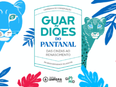 Organização realiza campanha para salvar e reabilitar animais silvestres no Pantanal