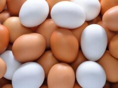 Ovos podem ficar mais baratos após queda de exportações aos EUA