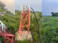 Temporal destelha casas, derruba árvores e torre de transmissão de rádio no interior