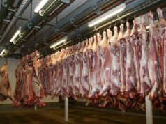 Mato Grosso lidera queda percentual nas exportações para os EUA após tarifaço de Donald Trump, aponta FGV