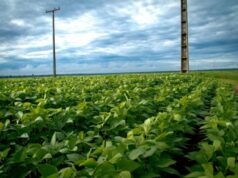 Aprosoja MT cria grupo piloto de comunicação direta entre produtores e Energisa para agilizar atendimento