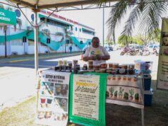 Feira da Família será realizada às terças-feiras em Várzea Grande – Feira da Família será realizada às terças-feiras em Várzea Grande