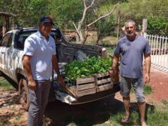 Produtora de Várzea Grande diversifica produção com plantio de maracujá – Produtora de Várzea Grande diversifica produção com plantio de maracujá