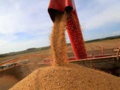 Guerra comercial de Trump e China cria oportunidades, mas ameaça ambiente do Brasil