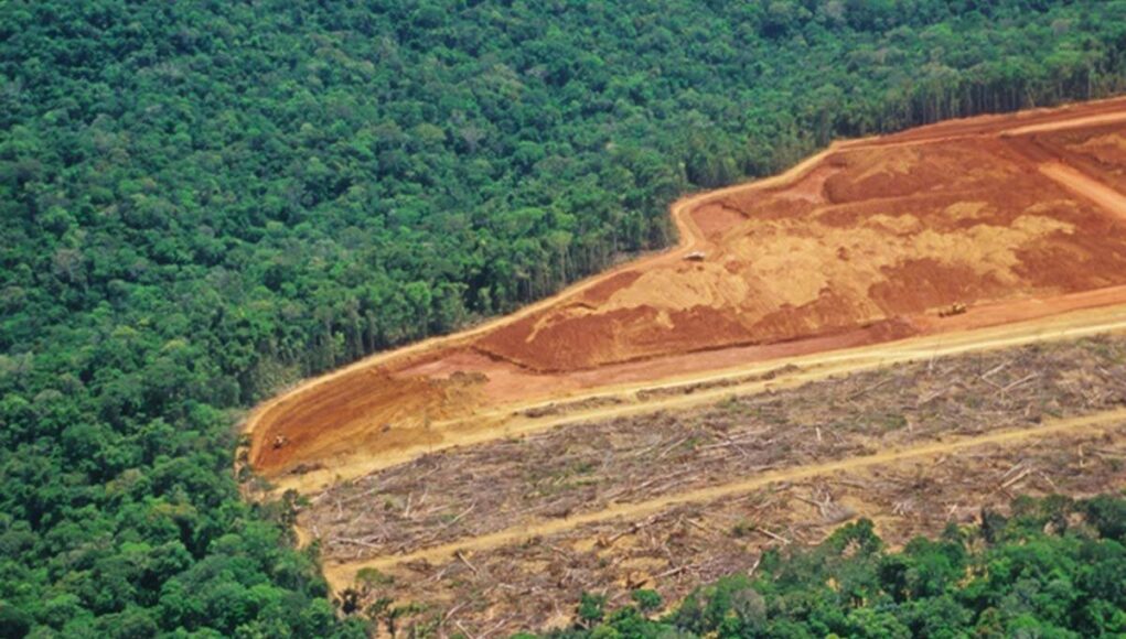 desmatamento-amazonia-madeira-ilegal.jpg