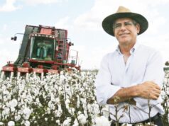 Grupo suspeito de comprar sentenças montou fraudes no agro, diz PF