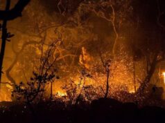 Incêndio na Chapada dos Veadeiros causa destruição no Parque Nacional