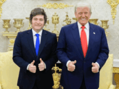 Milei vence eleição legislativa com ajuda bilionária de Trump