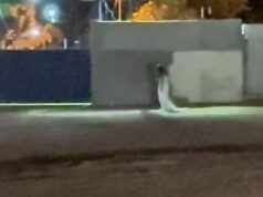 “Noiva” aparece em frente a cemitério e intriga cidade de Goiás