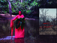 Arte mato-grossense dialoga com COP 30 e transforma Parque das Águas em espaço de reflexão sobre o clima