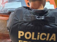 PF mira homem suspeito de armazenar e compartilhar conteúdo sexual envolvendo menores de idade