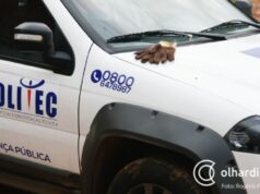 Ossada humana é encontrada em área rural após denúncia anônima