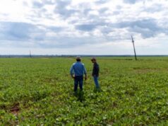 Estiagem histórica atrasa lavoura, força replantio e eleva custos na região médio-norte de MT