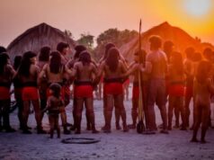 Estudo aponta que novas Terras Indígenas podem retirar R$ 173 milhões por ano da economia de MT e cortar 498 empregos