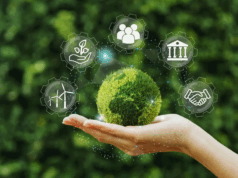 Startups brasileiras têm oportunidade para ampliar acesso a capital e acelerar soluções sustentáveis