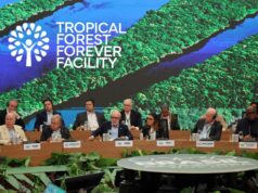 Lula lança em Belém fundo para proteger florestas tropicais – CartaCapital