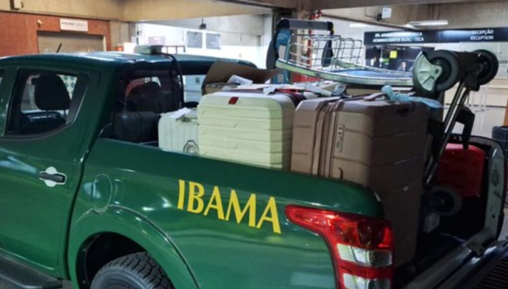 ibama-2-5.jpg
