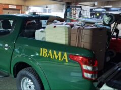 Operação apreende 62 kg de barbatanas de tubarão em malas no aeroporto