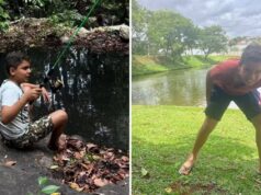 menino atacado por abelhas tem quadro grave de saúde, diz mãe