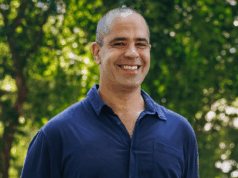 Trabalho distribuído e impacto coletivo como caminho para a criatividade regenerativa