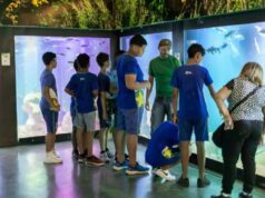 Programação das férias escolares poderá contar com aquário, museu e lazer gratuito no Complexo Biocultural do Porto