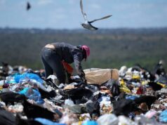 Inclusão de catadores é passo importante na gestão de resíduos sólidos