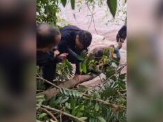 Criança é salva de tromba d’água por policiais em rio de MT. Vídeo