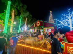 Prefeitura de Rondonópolis | Abertura do Natal do Amor reúne milhares de pessoas na praça Brasil