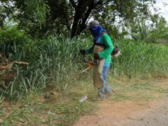 Várzea Grande intensifica mutirão de zeladoria e amplia ações em 19 localidades – Várzea Grande intensifica mutirão de zeladoria e amplia ações em 19 localidades