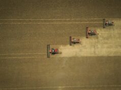 IBGE prevê recuo de 3% com safra de 335,7 milhões de toneladas em 2026