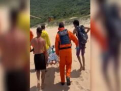 Mulher é atacada por capivara ao mergulhar em lagoa de SC. Vídeo