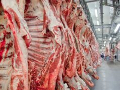 Governo reage à tarifa da China sobre carne e diz que atuará para mitigar impacto