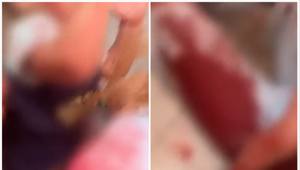 mulher-mae.png
