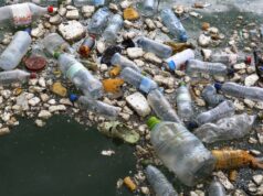 Decreto do Plástico: metas ambiciosas exigem investimentos