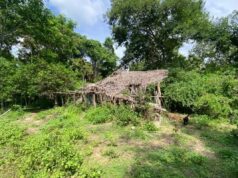 Vídeo mostra local das buscas por crianças desaparecidas em Bacabal