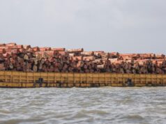 Desmatamento cai 9% na amazônia e no cerrado em 2025; área desflorestada em MT é de 1.497 km²