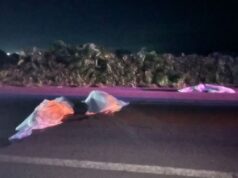 Três pessoas morrem em grave acidente na MT-175; crianças entre as vítimas