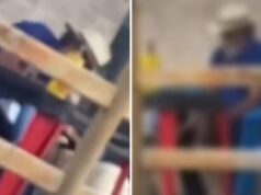 Idoso é preso por estuprar cachorro em conveniência no interior de MT