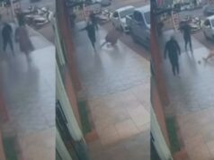 Homem avança contra idosa no meio da rua e a derruba no chão; veja vídeo