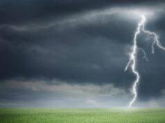 Raio mata idoso e cavalo em fazenda no interior de Mato Grosso