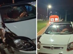 Jovem embriagado bate Palio em carreta estacionada após dormir no volante em MT: veja vídeo