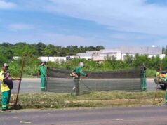 VG em Ação intensifica limpeza, iluminação e melhorias por toda cidade – VG em Ação intensifica limpeza, iluminação e melhorias por toda cidade